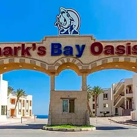 Sharks Bay Oasis Aqua Park-2